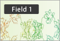 Field1