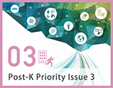 Priority Issue3